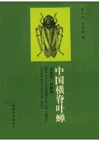 The Evacanthinae of China (Homoptera: Cicadellidae)