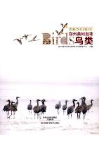 Wetland Birds in the Yellow River,Zhengzhou