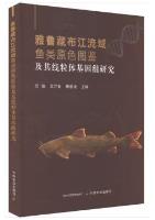 Studies on Primary Color Atlas and Mitochondrial Genome of Fish in the Yarlung Zangbo River Basin