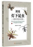 Atlas of Common Phototactic Insects in Shanghai Green Spaces