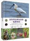 A Photographic Guide to the Common Wildlife of Shenzhen