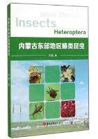 The Insects Heteroptera in The Eastern Part of Inner Mongolia(out of print)