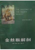 The Anatomy of the Golden Monkey