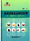 Color Atlas of Forest Insect Ecology