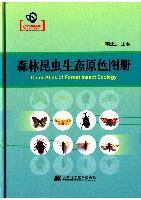 Color Atlas of Forest Insect Ecology