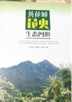 Natural History of Insects with Photographic Guide in Huanghuacheng Village, Huairou, Beijing, China
