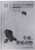 Paleontological Atlas of Hubei Province Vol.5 Hemichordata, Chordata