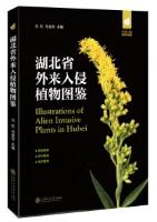 Illustrations of Alien Invasive Plants in Hubei