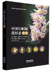 Floral Morphology of Dendrobium in China