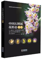 Floral Morphology of Dendrobium in China