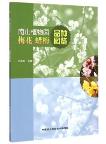 Illustrated Book of Chimonanthus praecox Cultivars  in Nanshan Botanical Garden