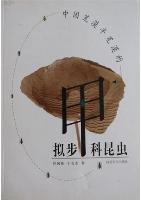 The Darkling Beetles From Deserts and Semideserts of China (Coleoptera: Tenebrionidae) (Ebook)