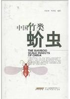 The Bamboo Scale Insects of China 