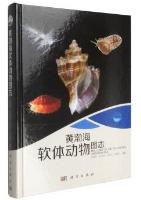 Mollusks of the Yellow Sea and Bohai Sea
