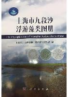The Phytoplankton of Shanghai Jiuduansha Wetland