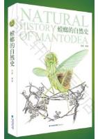 Natural History of Mantodea