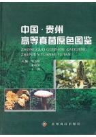 Colored Atlas of Higher Fungi from Guizhou in China (Ebook, PDF)