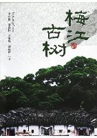 The Ancient Trees in Meijiang