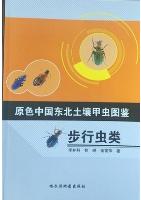 Primary Color Illustration of Soil Beetles in Northeast China-Carabid