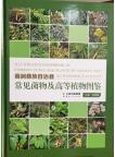 Illustrated Handbook of Common Fungi and Plants in Nanjian Yi Zu Autonomous County