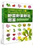 Edible Wild Plants & Herbs