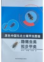 Primary Color Illustration of Soil Beetles in Northeast China-Staphylinidae and Tenebrionoidea