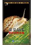 A Photographic Guide to Land Snails of China