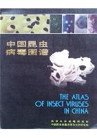The Atlas of Insect Virues in China