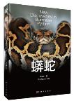 New Discoveries in Burmese Python