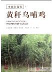 An Excellent Bamboo Species:  Huang Gan Wu Bu Ji