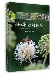 Flora of Honey Plants in Hubei