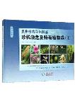 Color Atlas of Plants from Guizhou: Rare,Endangered and Endemic Plants (II)