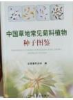 Identification of Common Asteraceae Plant Seeds in China Gressland