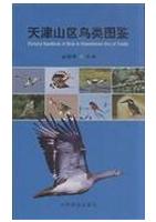 Pictorial Handbook of Birds in Mountainous Area of Tianjian