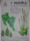 Flora of Guangxi Volume 6  Pteridophyta