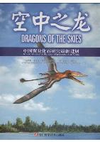 Dragons of The Skies-Recent Advances on The Study of Pterosaurs From China