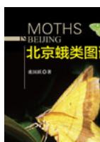 Moths in Beijing（out of print）