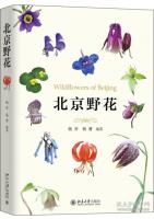 Wildflowers of Beijing