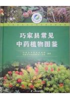 Illustrated Guide to Common Traditional Chinese Medicine Plants in Qiaojia County