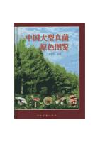Colored Illutrations of Macrofungi (Mushrooms) of China （Ebook)