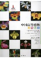 Higher Plants of China in Colour (Volume IX) Angiosperms Taccaceae-Orchidaceae