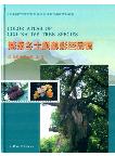 Color Atlas of Cixi Native Tree Species