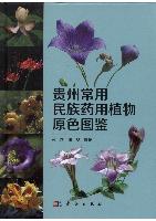 Colored Pictorial Handbook of Common Ethnic Medicinal Plant in Guizhou