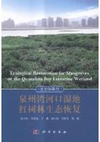 Ecological Restoration for Mangroyes on the Quanzhou Bay Estuarine Wetland