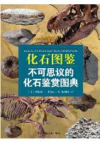 Illustrated Handbook of Fossil:Incredible Appreciation Books About Fossils