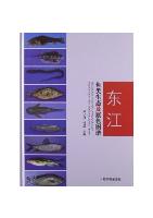 Ecology and Natural Colour Images of Fish in Dongjiang River