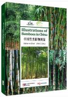Illustrations of Bamboos in China 