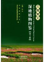 Illustrated Handbook of Common Wetland Plants in Yunnan (Vol.1)
