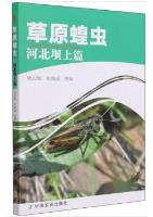 Grassland Grasshoppers (Part 1 of Bashang,Hebei)