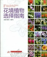 Flower Border Plants Selection Guide